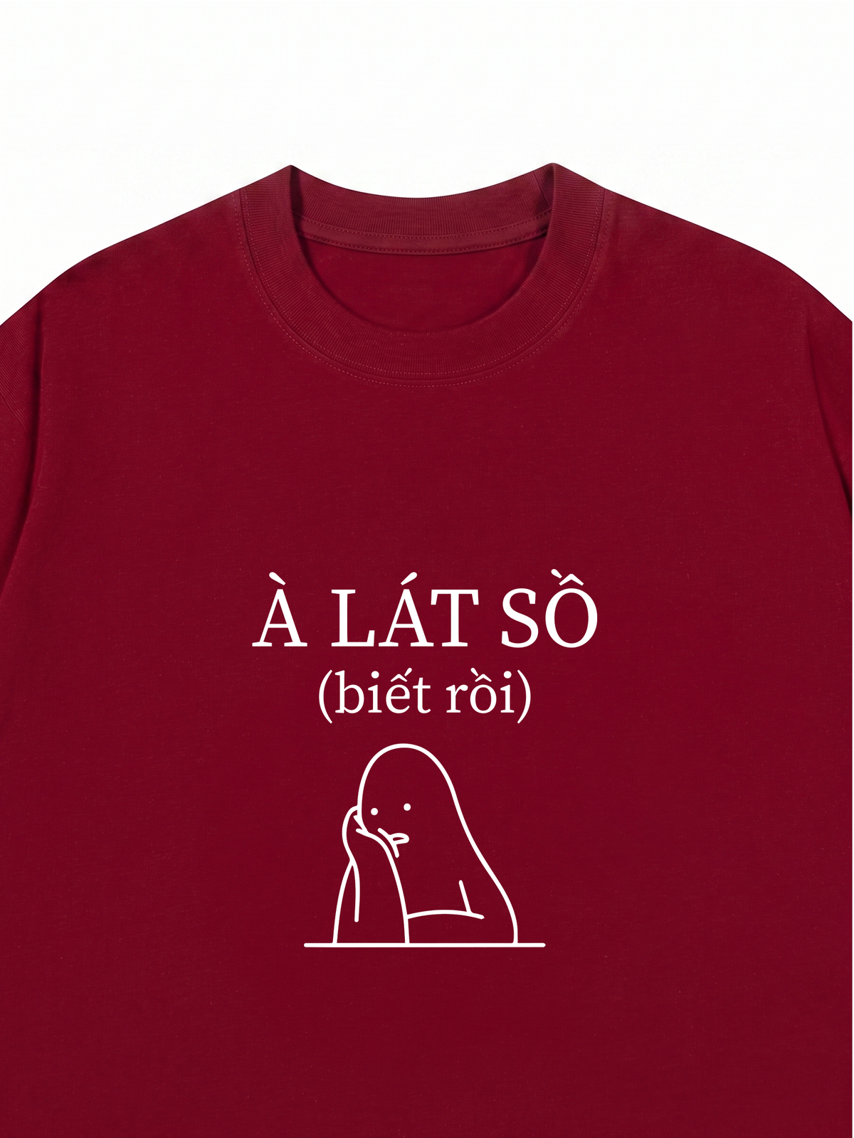 Áo Thun Relaxed Fit Biết rồi