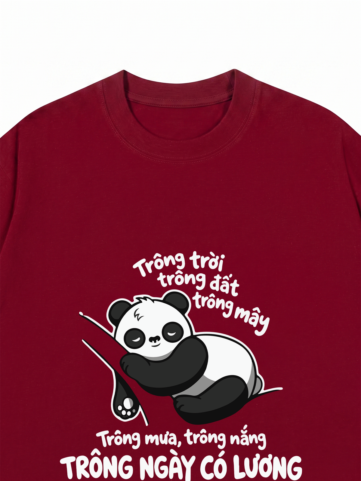 Áo Thun Relaxed Fit Trông Mưa Trông Nắng Trông Ngày Có Lương