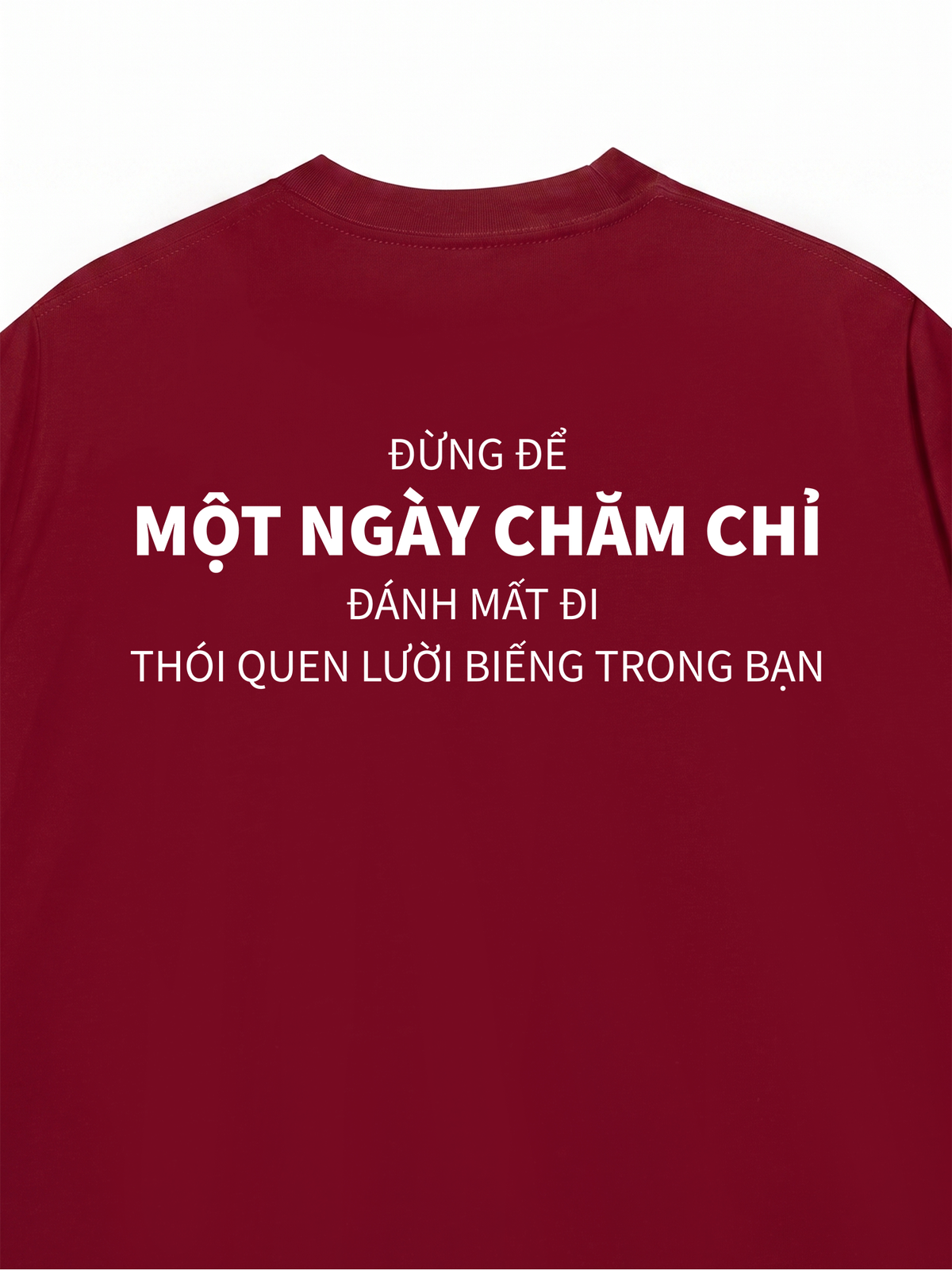 Áo Thun Relaxed Fit Đừng Để Một Ngày Chăm Chỉ