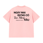 Áo Thun Relaxed Fit Đừng Có Too More Rầu