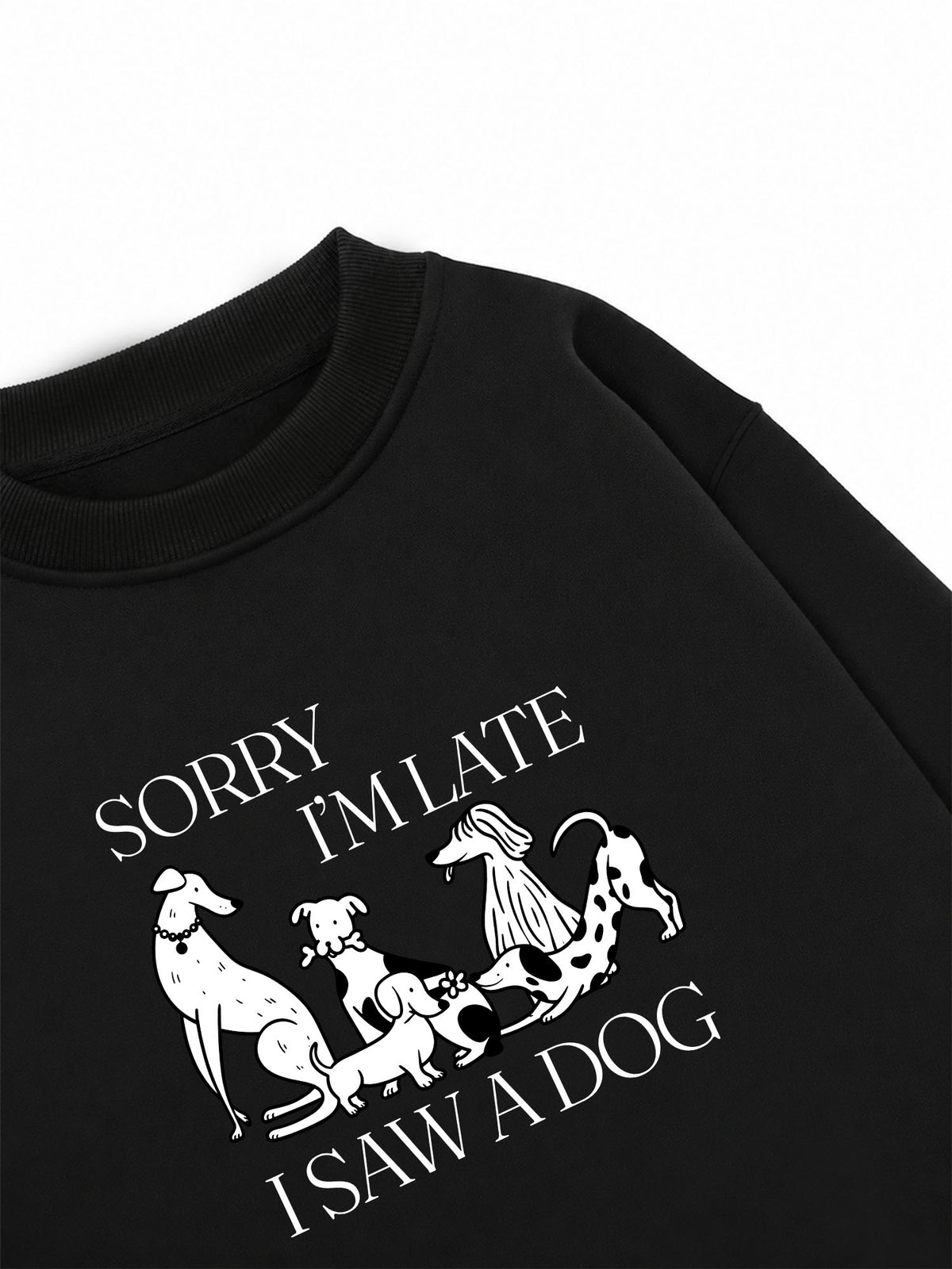 Áo Sweater Nỉ Hai Da I Saw A Dog