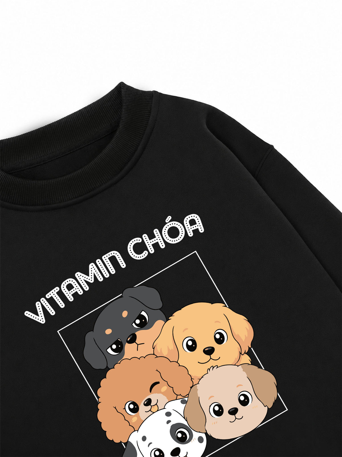 Áo Sweater Nỉ Hai Da  Vitamin Chóa
