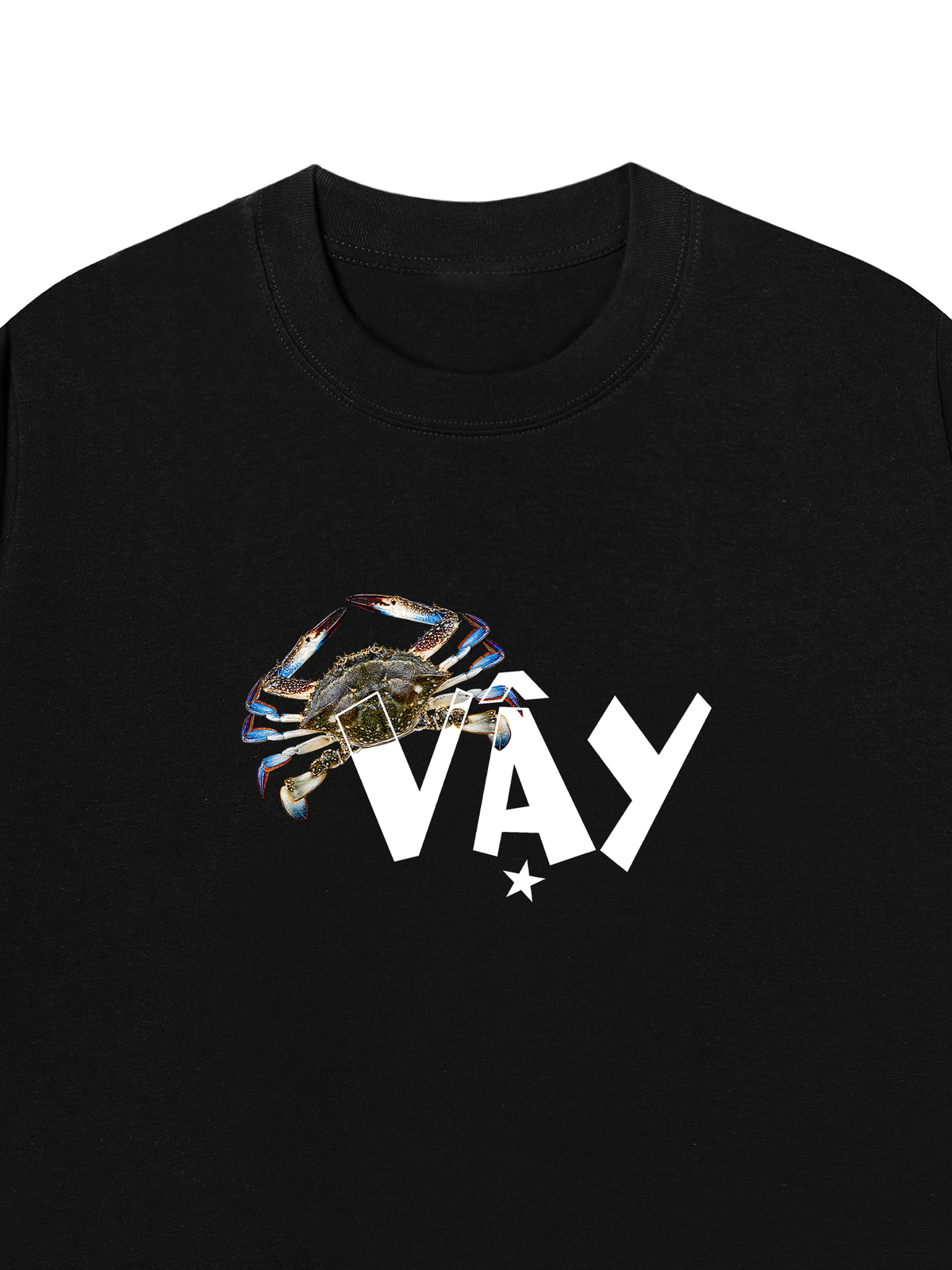 Áo Thun Relaxed Fit Ghe Vay Sao