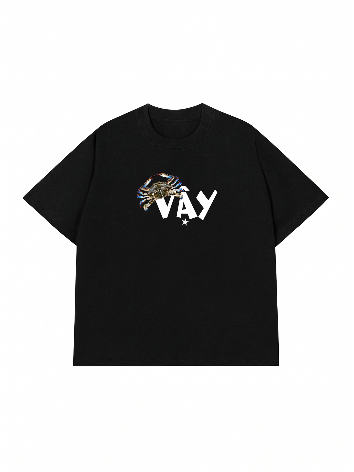 Áo Thun Relaxed Fit Ghe Vay Sao