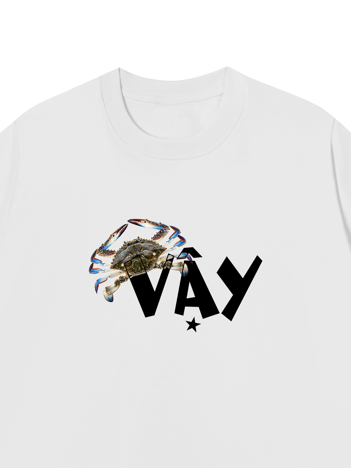Áo Thun Relaxed Fit Ghe Vay Sao