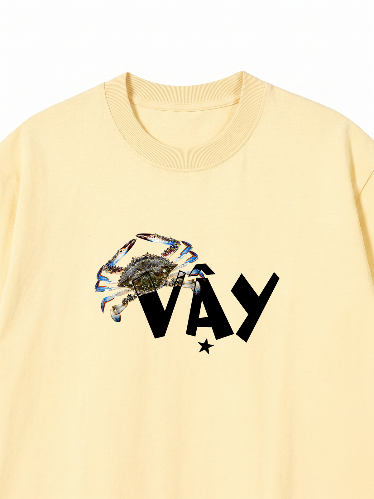 Áo Thun Relaxed Fit Ghe Vay Sao