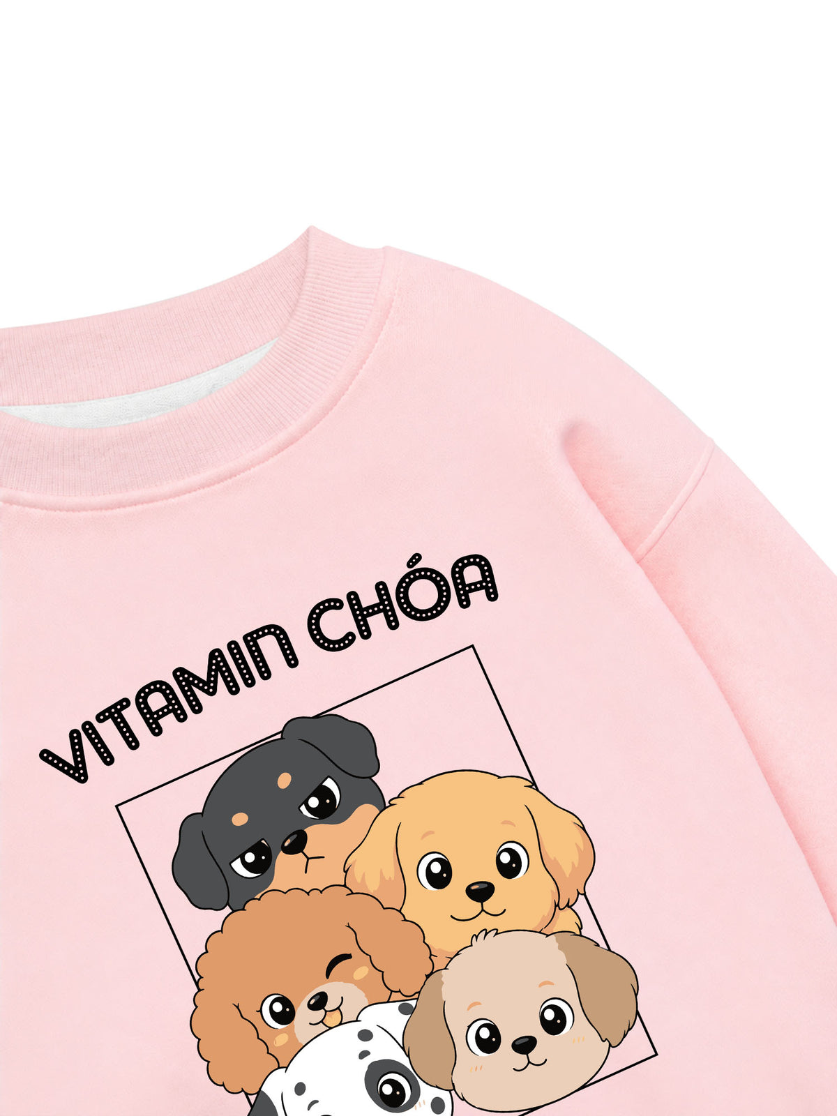 Áo Sweater Nỉ Hai Da  Vitamin Chóa