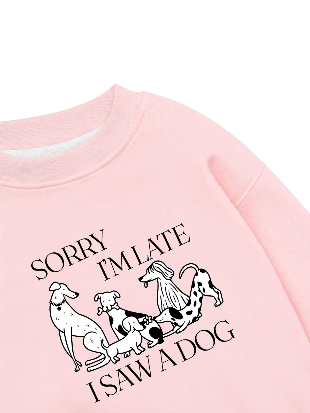 Áo Sweater Nỉ Hai Da I Saw A Dog