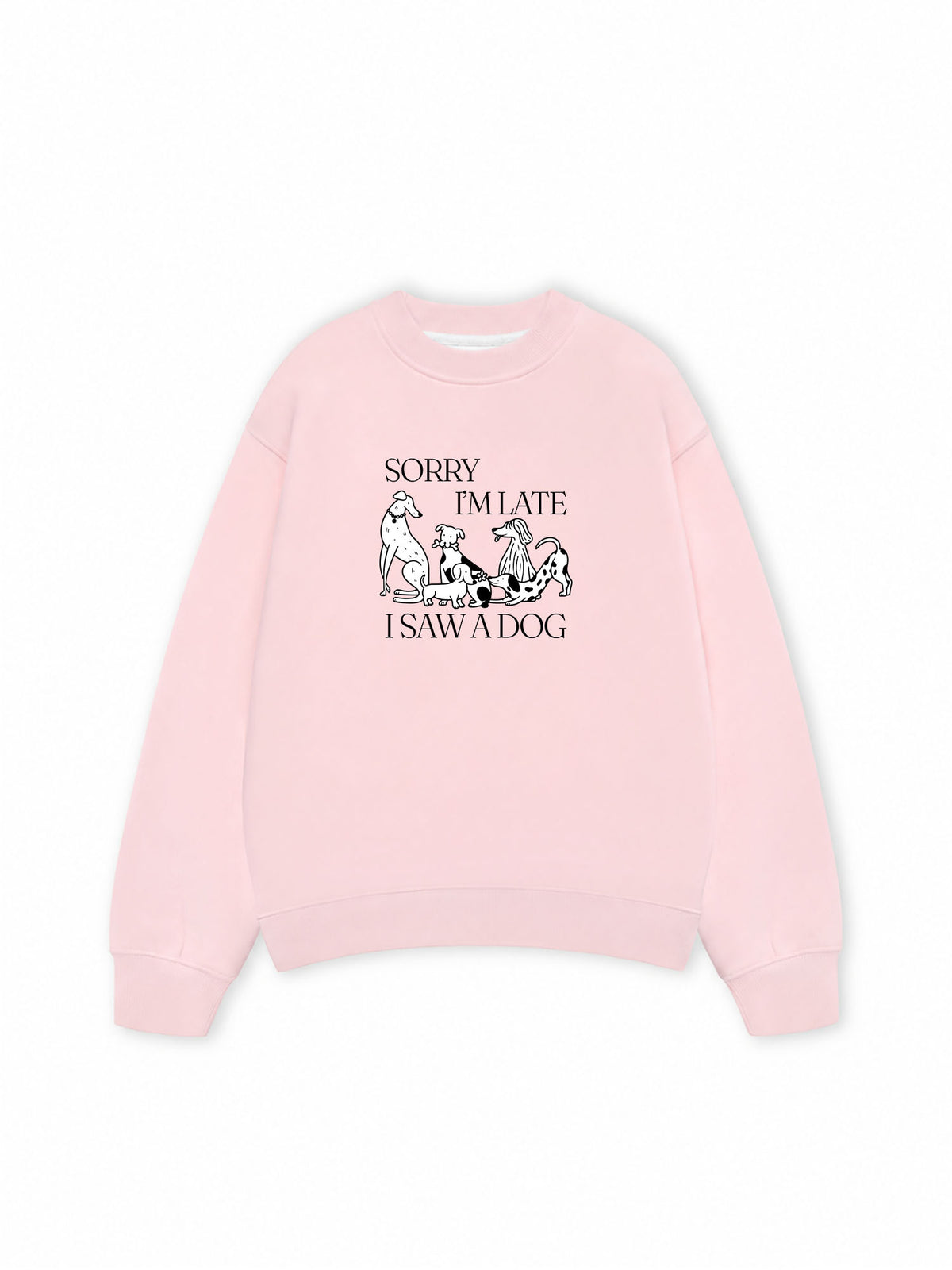 Áo Sweater Nỉ Hai Da I Saw A Dog