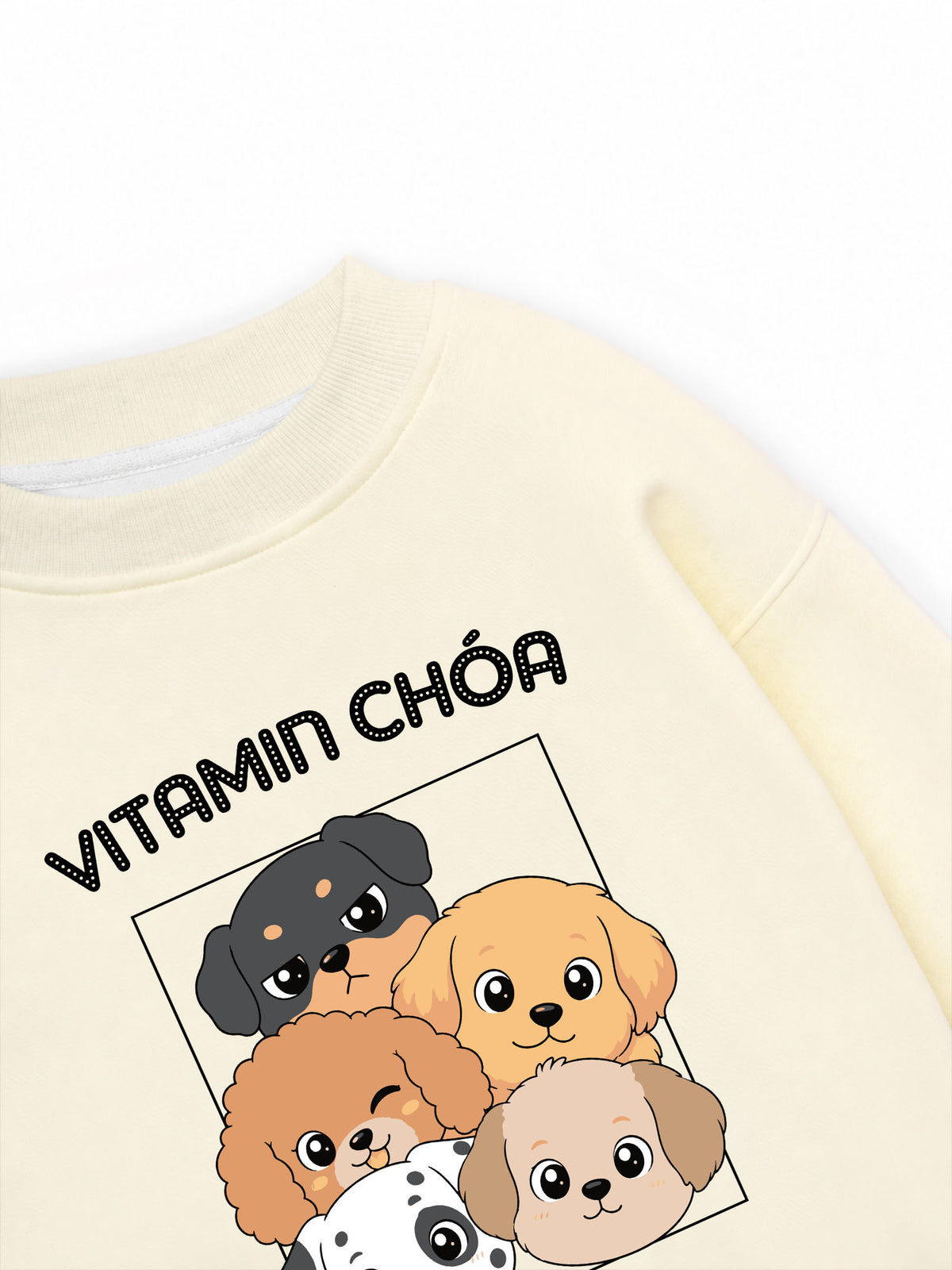 Áo Sweater Nỉ Hai Da  Vitamin Chóa