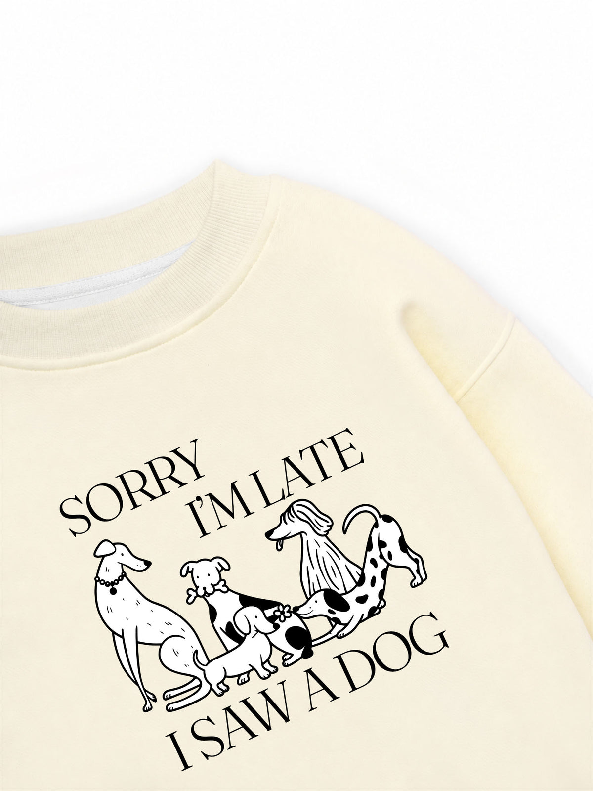 Áo Sweater Nỉ Hai Da I Saw A Dog