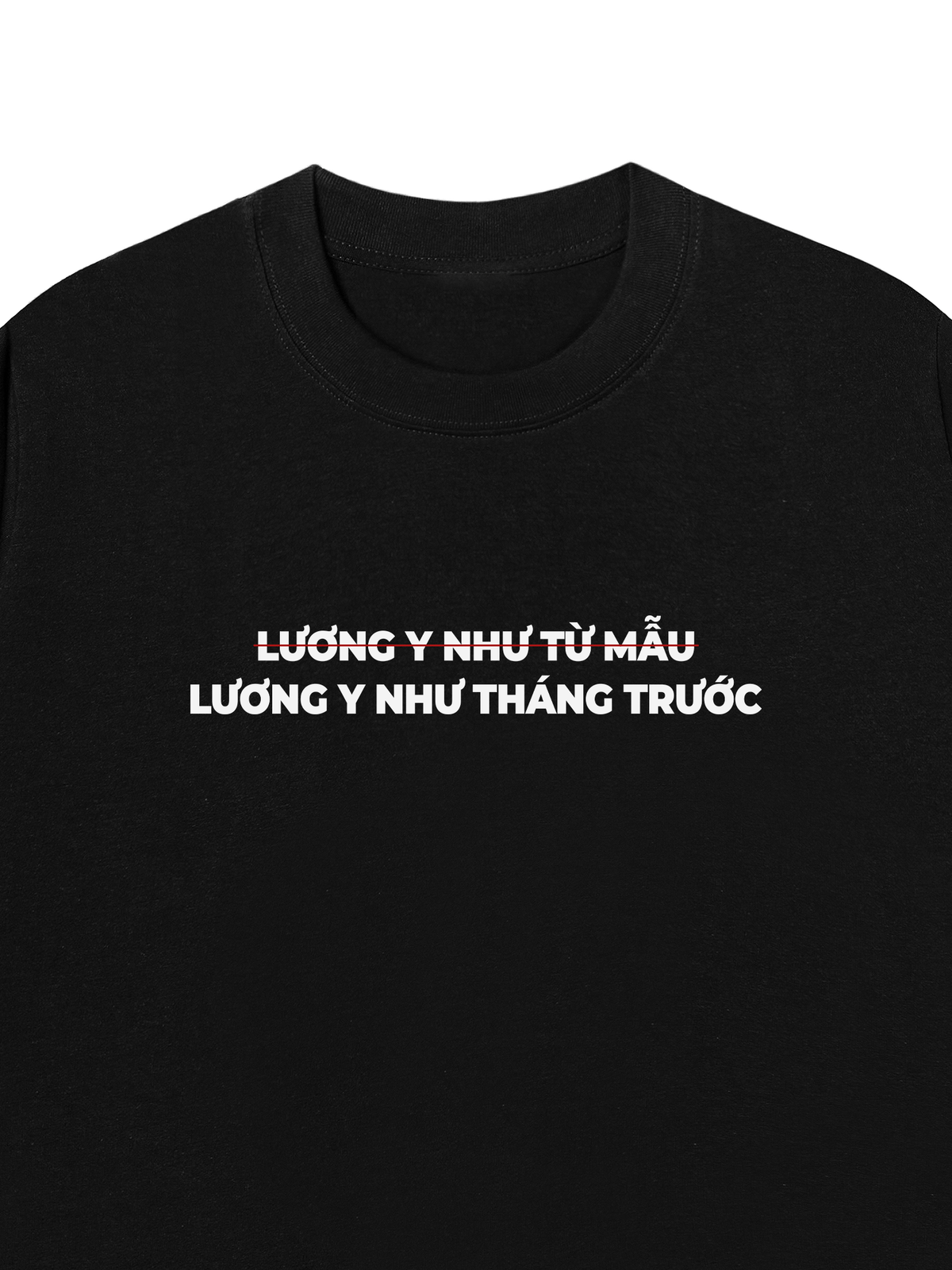 Áo Thun Relaxed Fit Lương Y