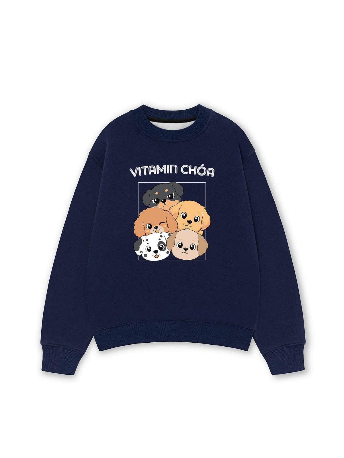 Áo Sweater Nỉ Hai Da  Vitamin Chóa