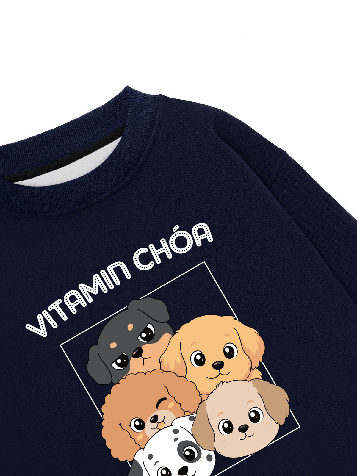 Áo Sweater Nỉ Hai Da  Vitamin Chóa