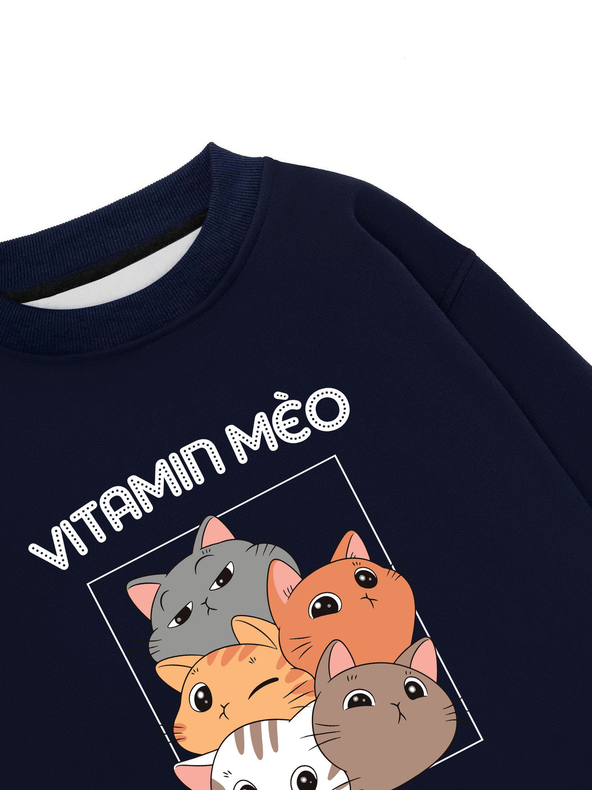 Áo Sweater Nỉ Hai Da Vitamin Mèo