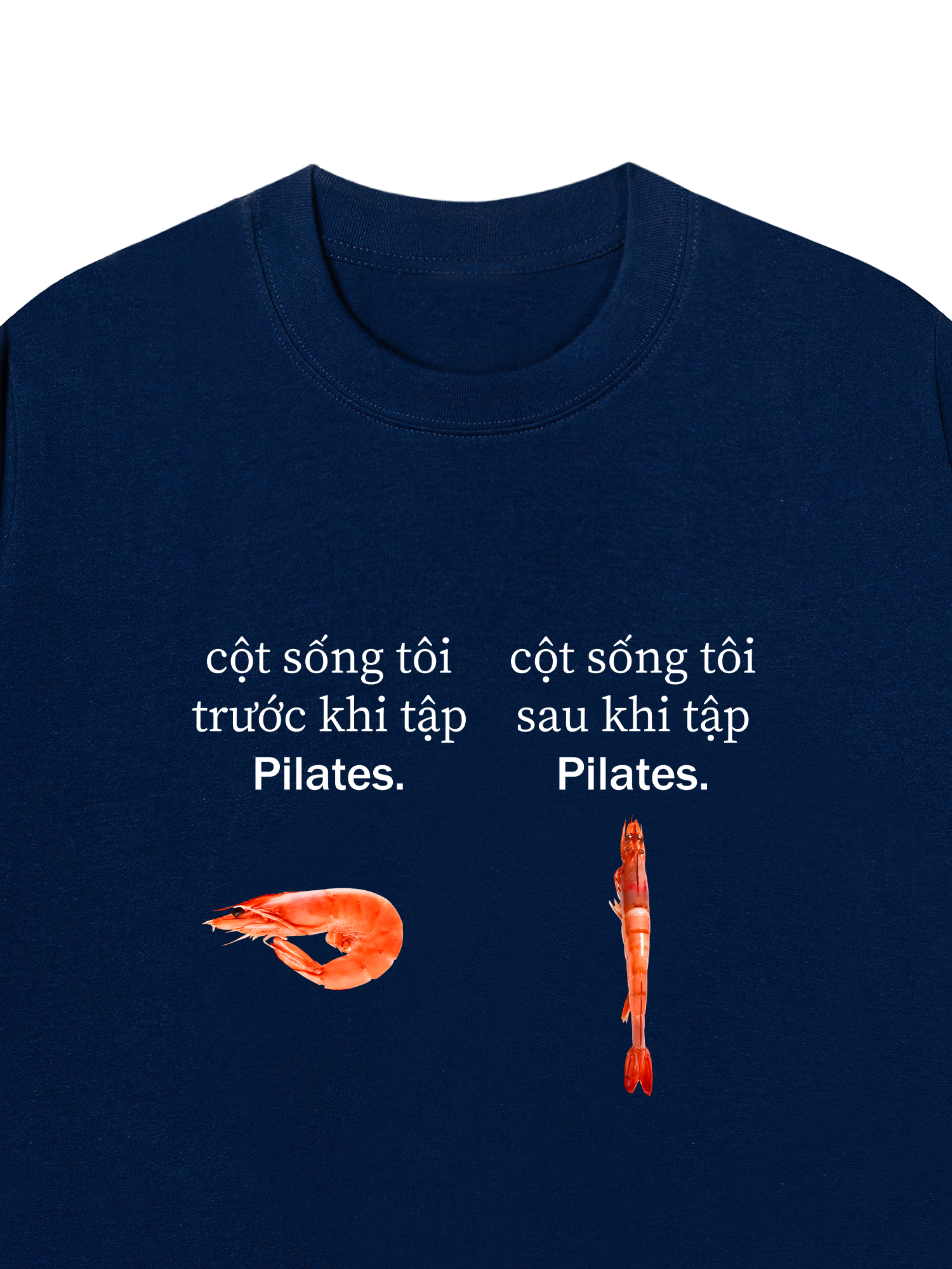 Áo Thun Relaxed Fit Tôm Pilates