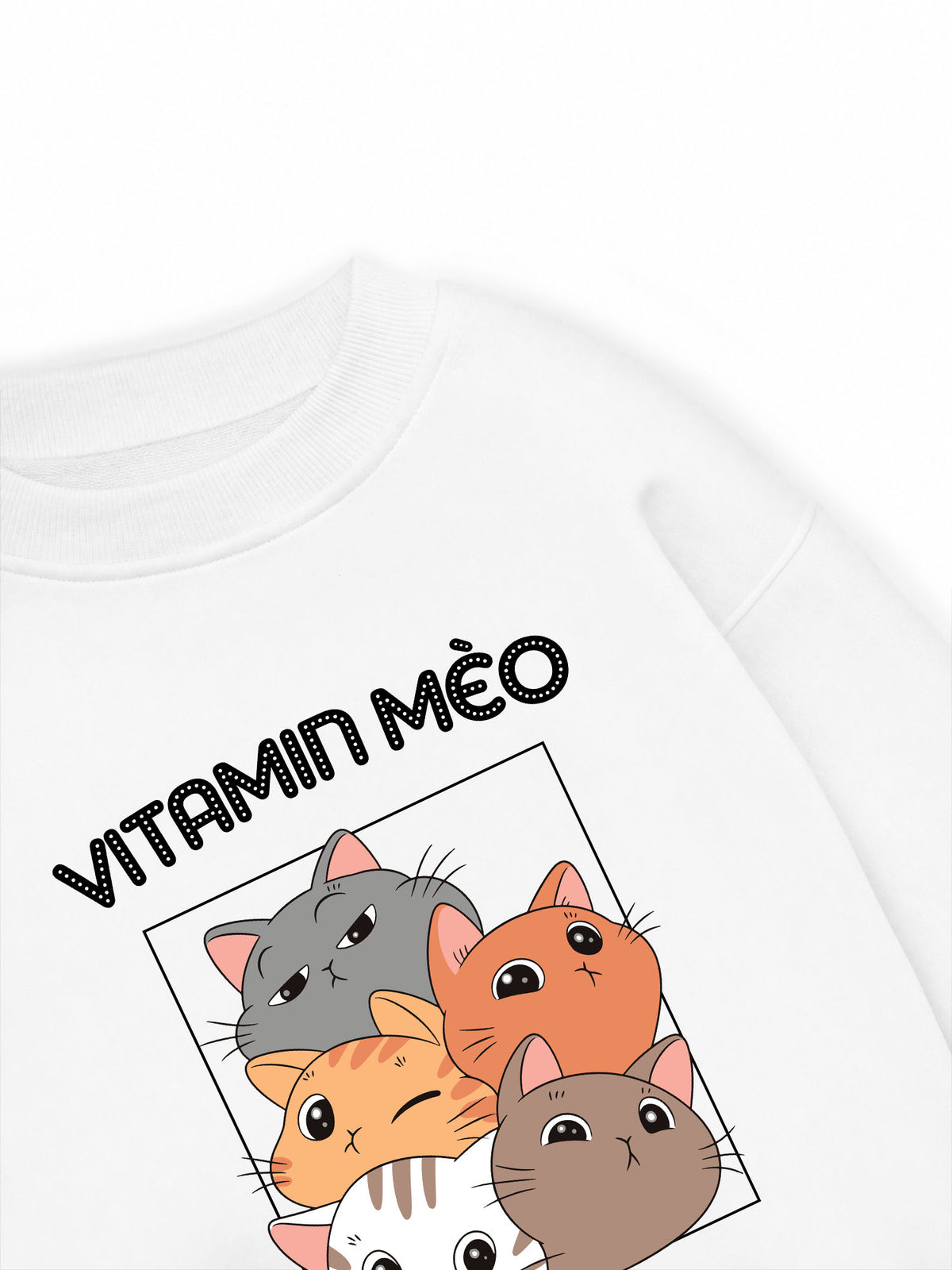 Áo Sweater Nỉ Hai Da Vitamin Mèo