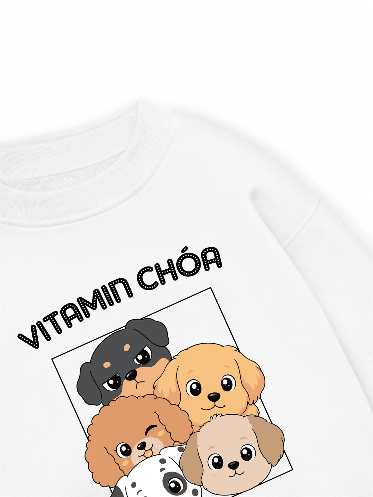 Áo Sweater Nỉ Hai Da  Vitamin Chóa