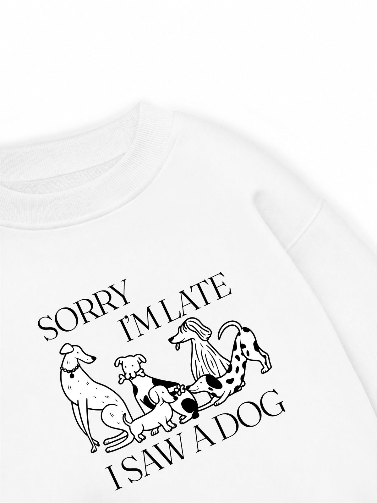 Áo Sweater Nỉ Hai Da I Saw A Dog