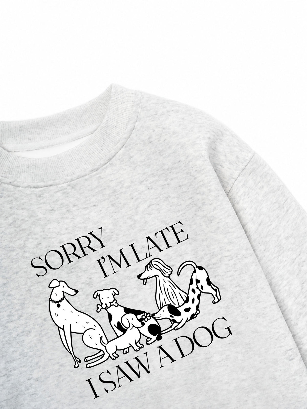 Áo Sweater Nỉ Hai Da I Saw A Dog