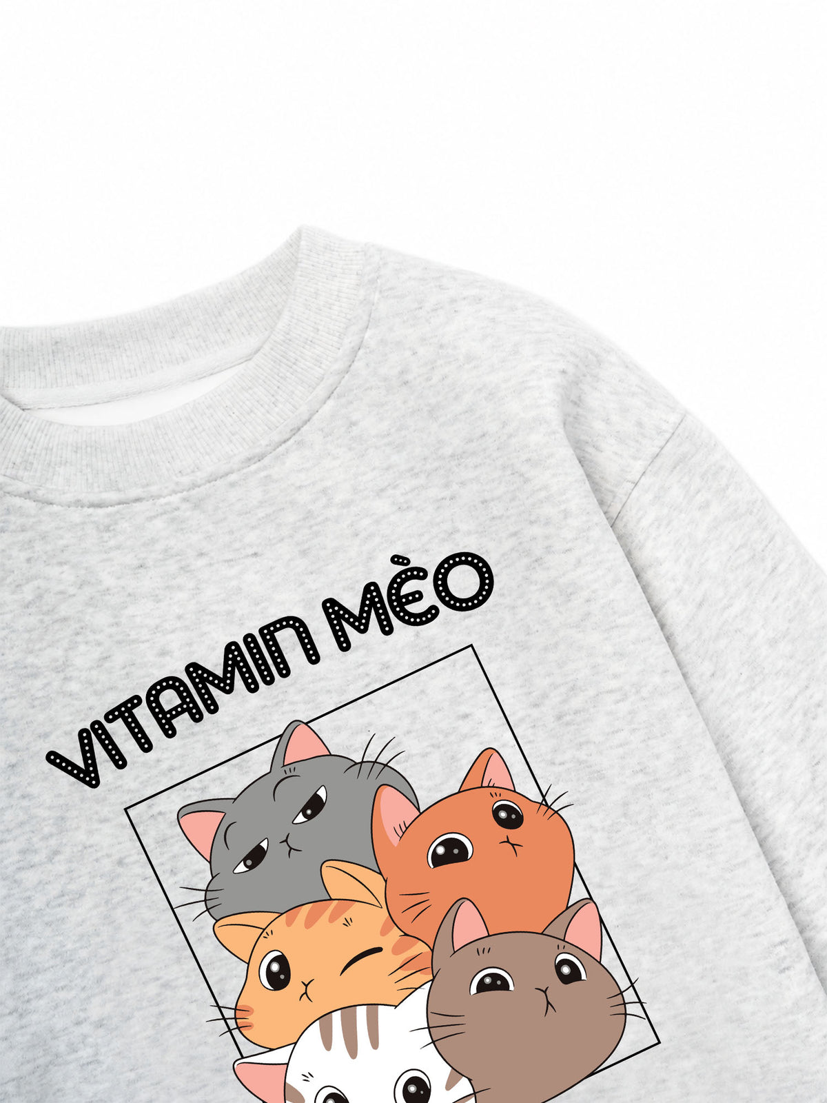 Áo Sweater Nỉ Hai Da Vitamin Mèo