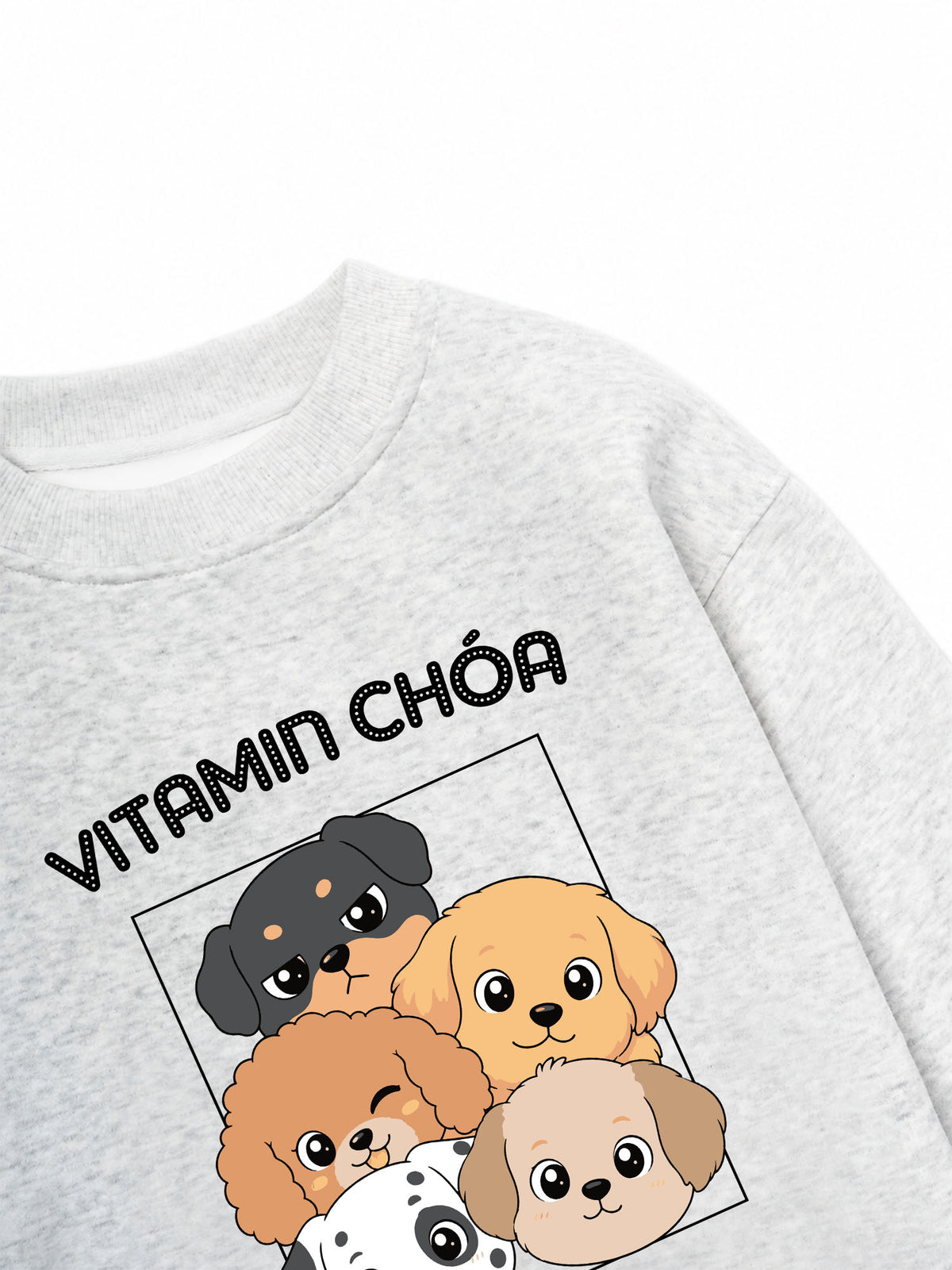 Áo Sweater Nỉ Hai Da  Vitamin Chóa