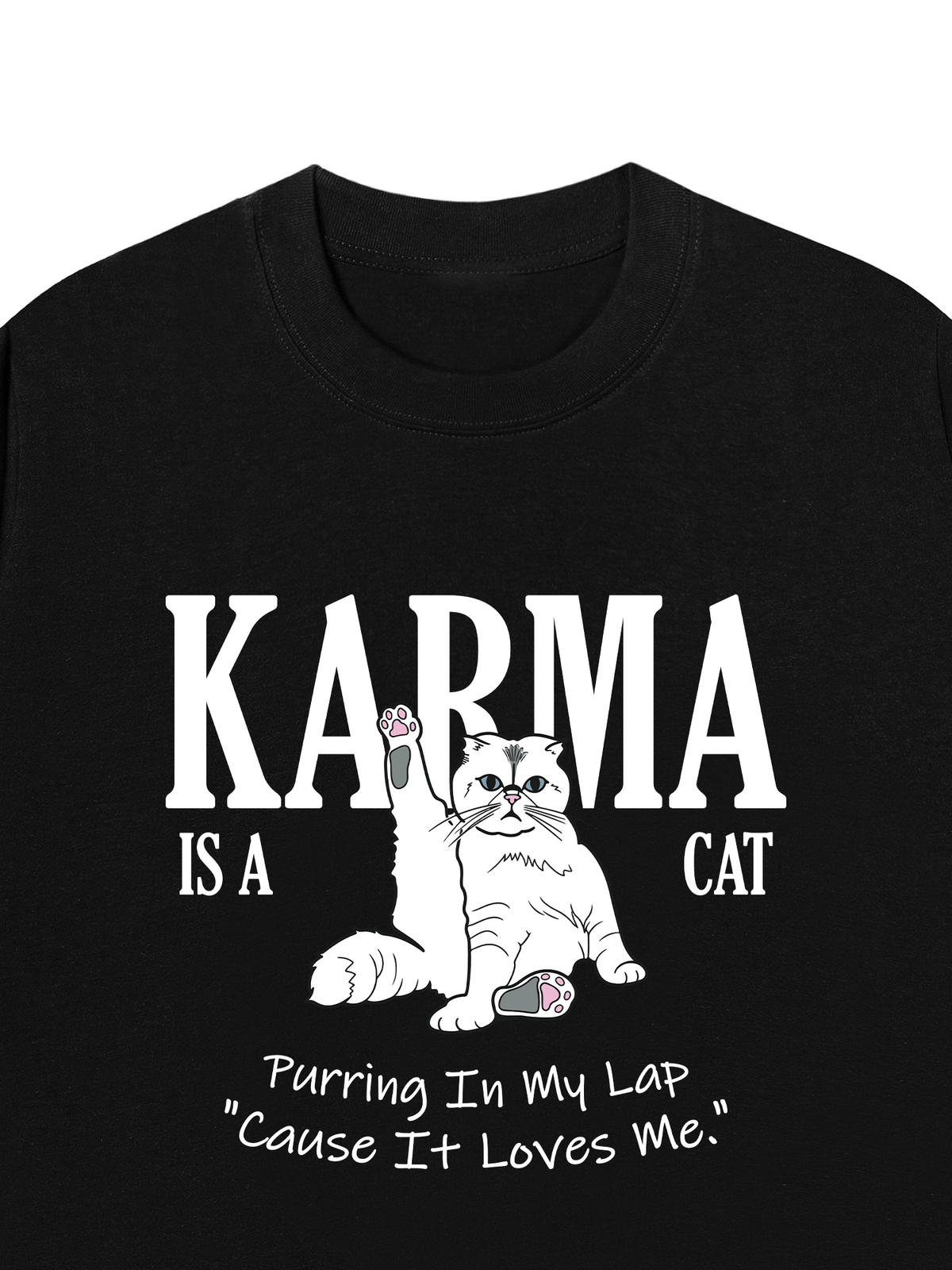 Áo Thun Relaxed Fit Karma Is A Cat