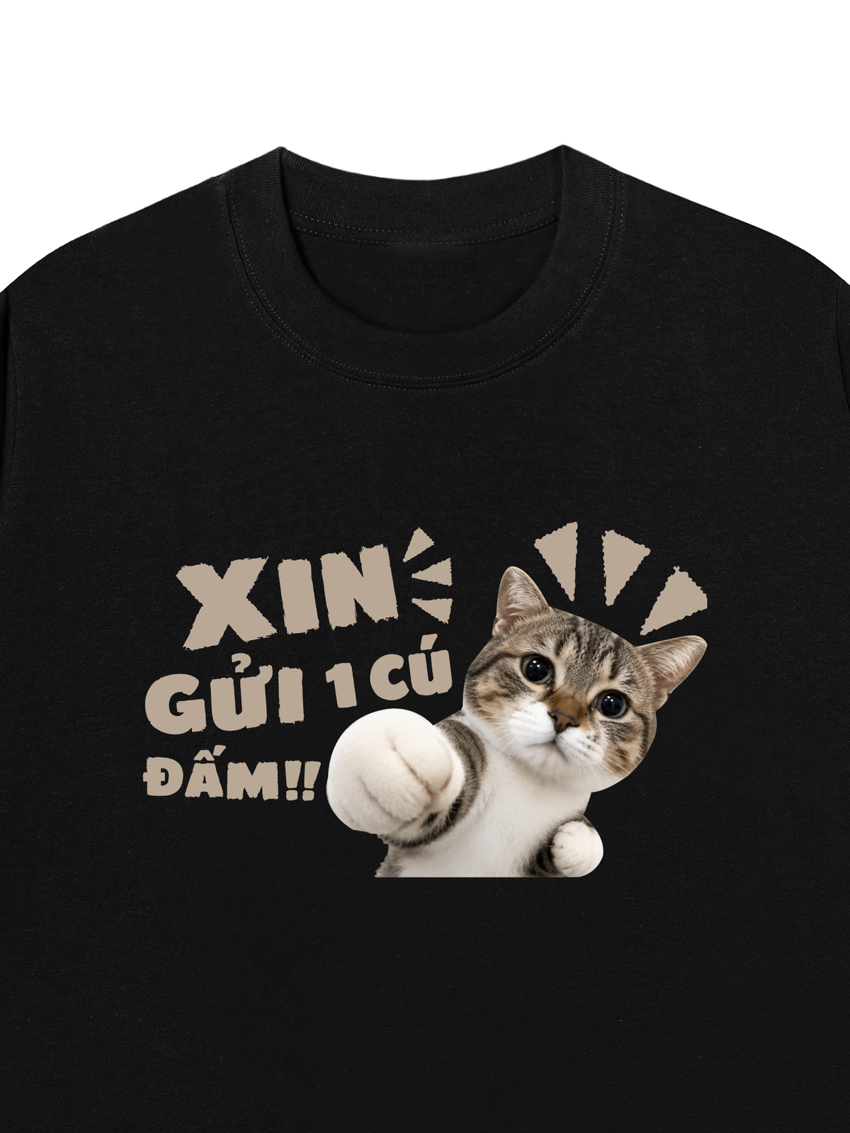 Áo Thun Relaxed Fit Xin Gửi Một Cú Đấm