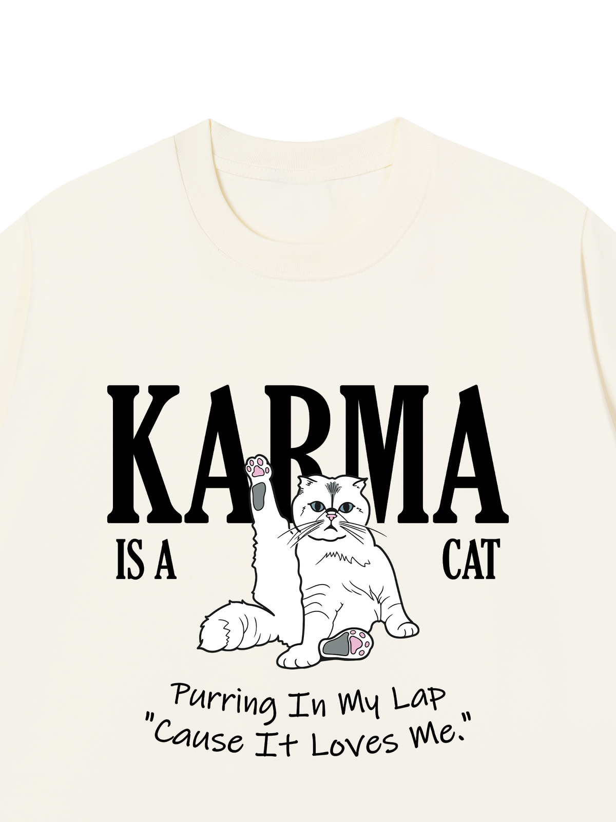 Áo Thun Relaxed Fit Karma Is A Cat