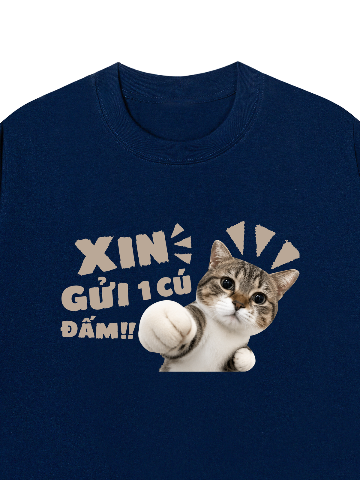 Áo Thun Relaxed Fit Xin Gửi Một Cú Đấm