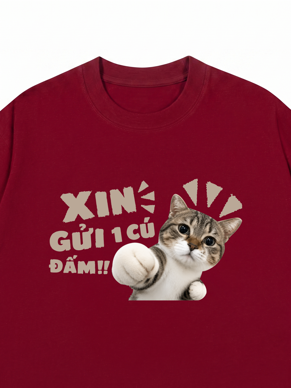 Áo Thun Relaxed Fit Xin Gửi Một Cú Đấm