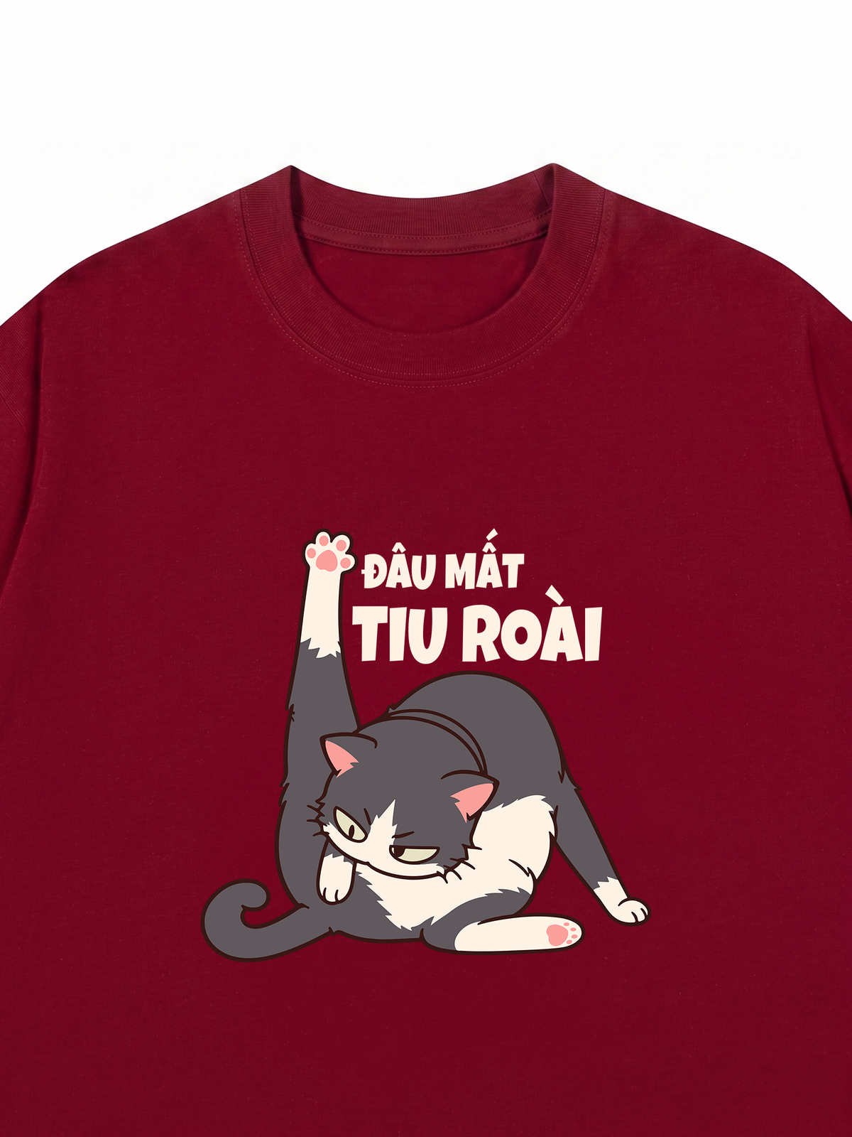 Áo Thun Relaxed Fit Đâu Mất Tiu Roài