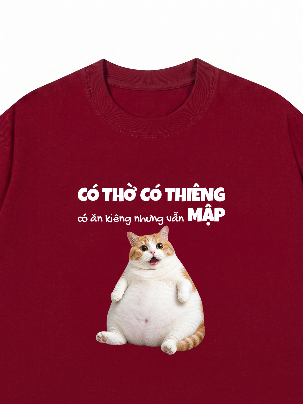 Áo Thun Relaxed Fit Có Ăn Kiêng Nhưng Vẫn Mập