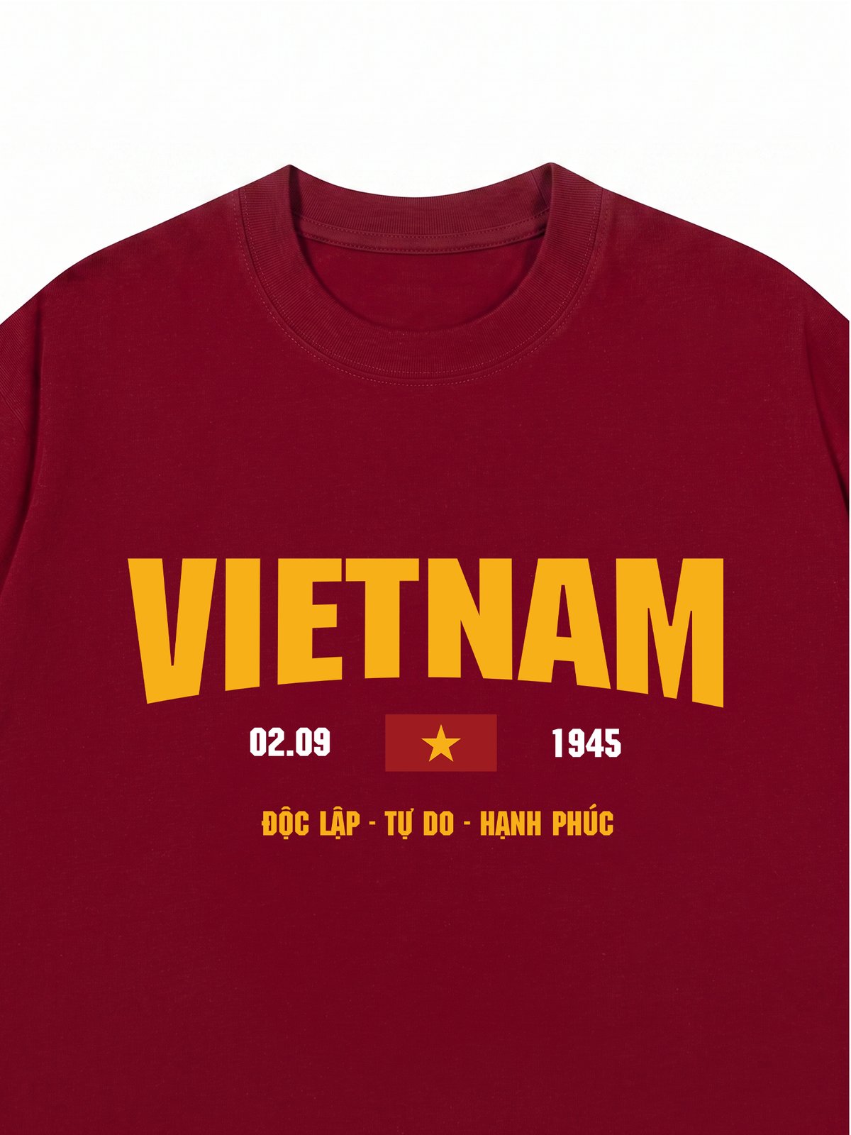 Áo Thun Relaxed Fit Việt Nam 2-9