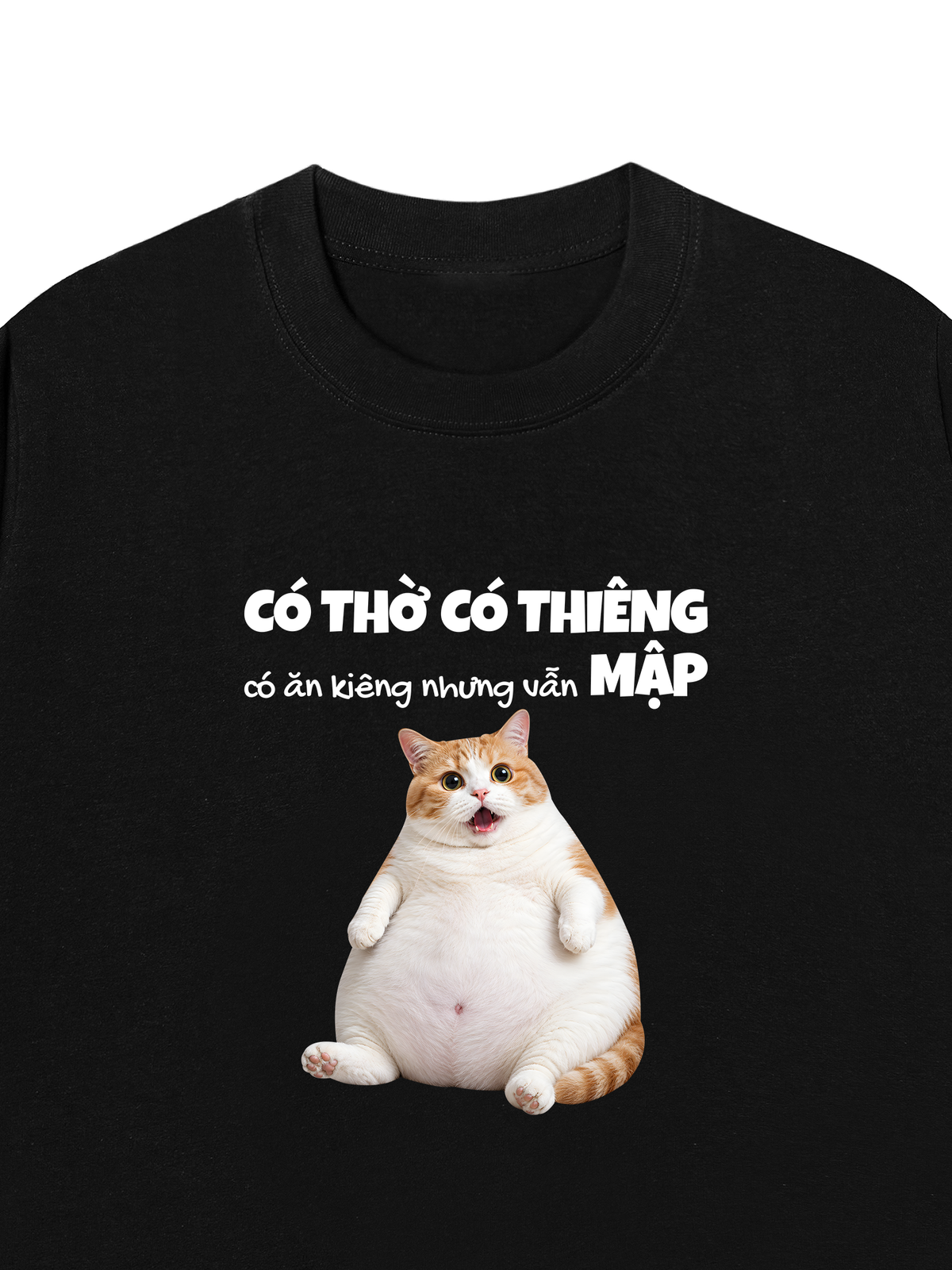 Áo Thun Relaxed Fit Có Ăn Kiêng Nhưng Vẫn Mập