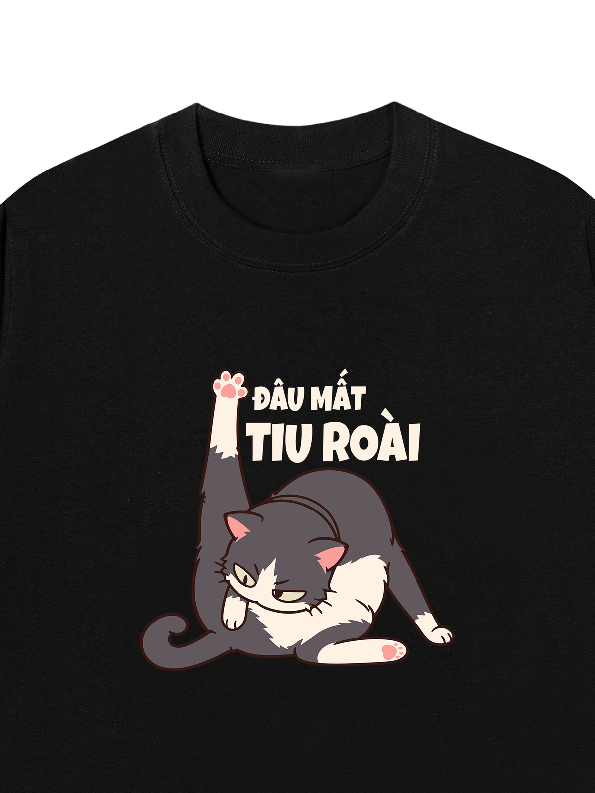 Áo Thun Relaxed Fit Đâu Mất Tiu Roài