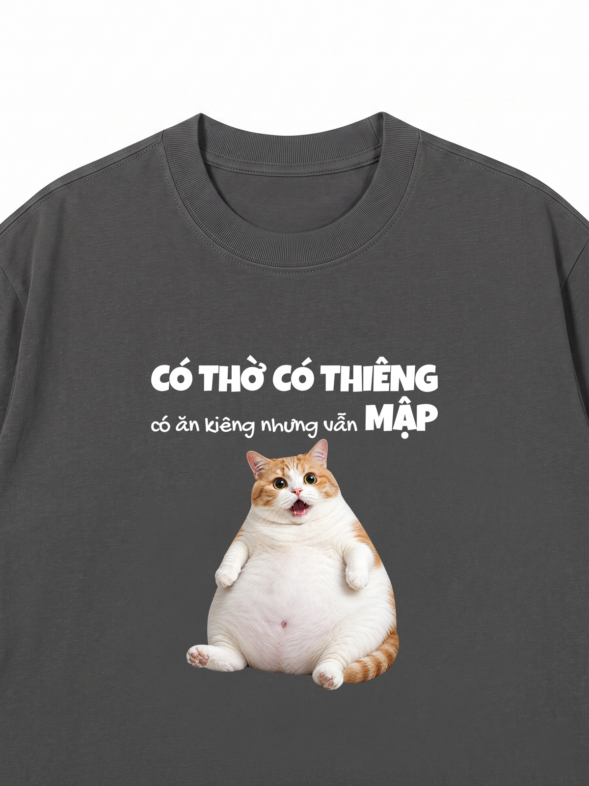 Áo Thun Relaxed Fit Có Ăn Kiêng Nhưng Vẫn Mập