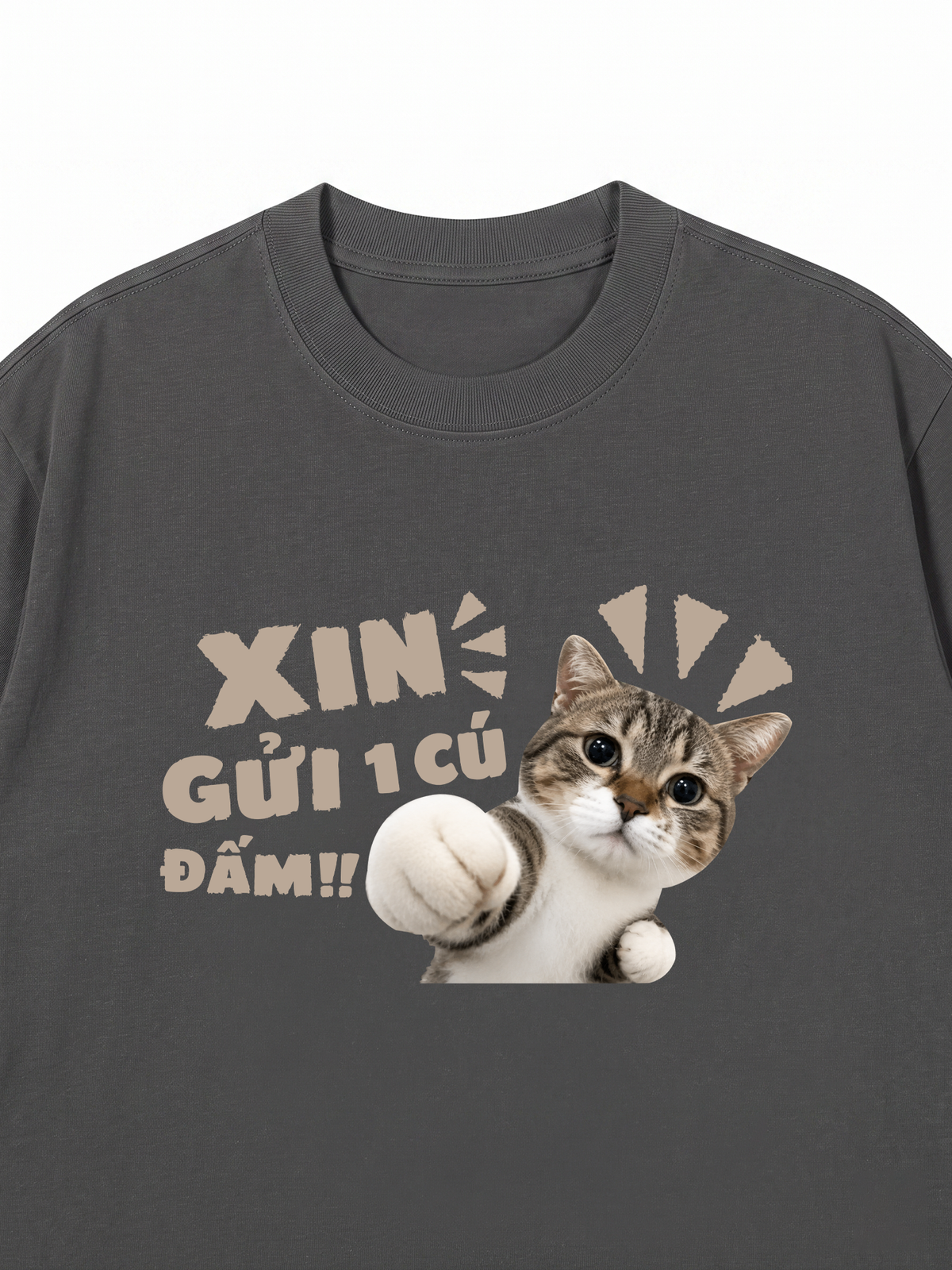 Áo Thun Relaxed Fit Xin Gửi Một Cú Đấm