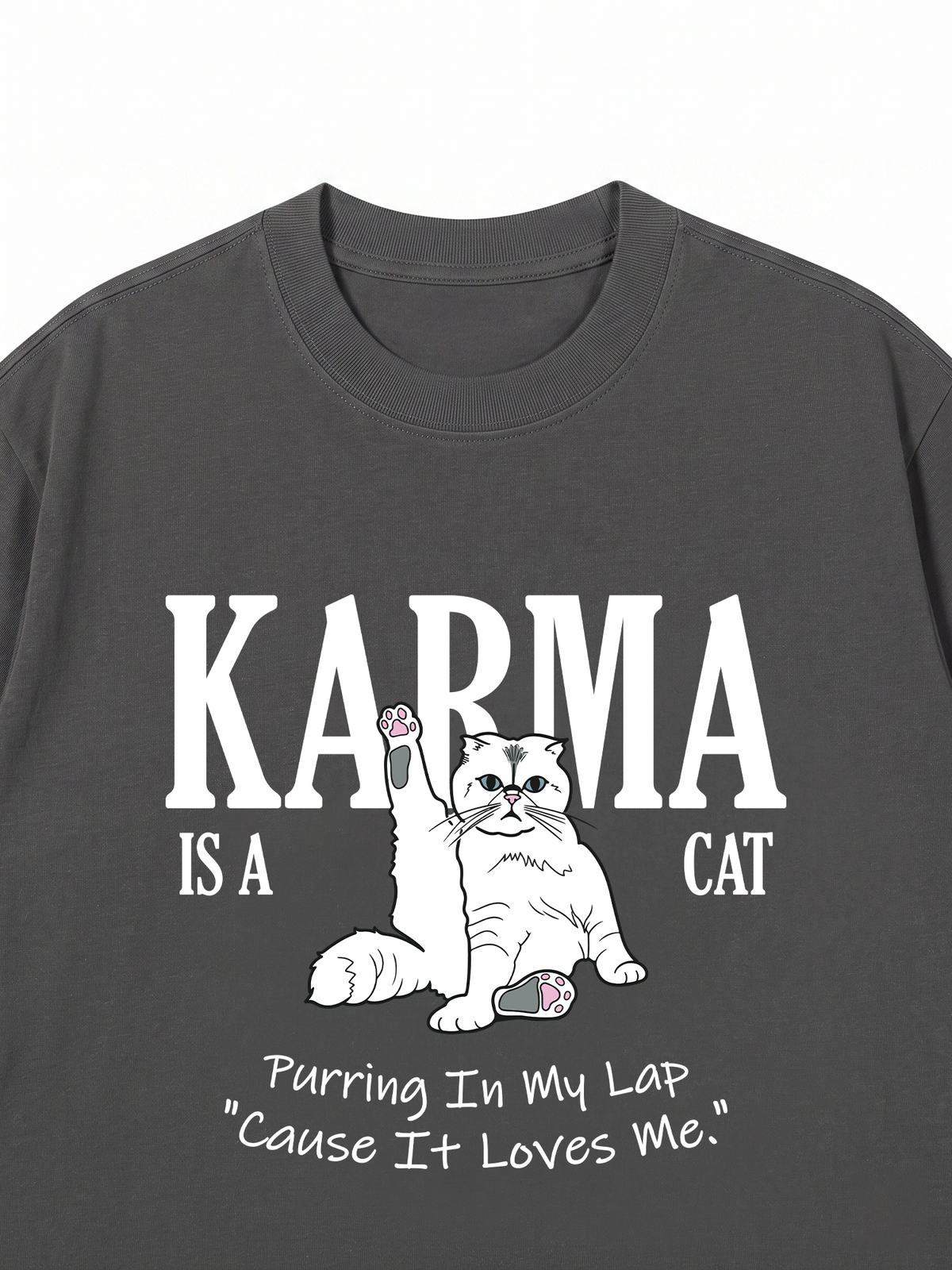 Áo Thun Relaxed Fit Karma Is A Cat