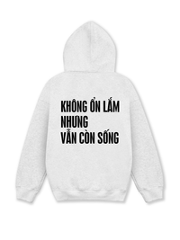 Áo Hoodie Nỉ Hai Da Không Ổn Lắm