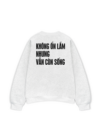 Áo Sweater Nỉ Hai Da Không Ổn Lắm