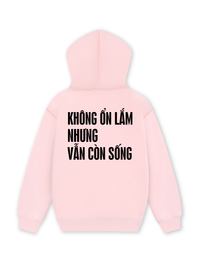 Áo Hoodie Nỉ Hai Da Không Ổn Lắm