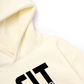Áo Hoodie Nỉ Hai Da Im Fit
