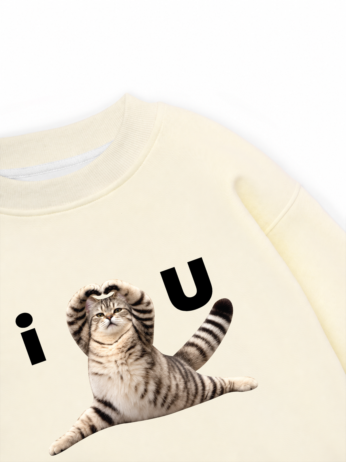 Áo Sweater Nỉ Hai Da I Love You