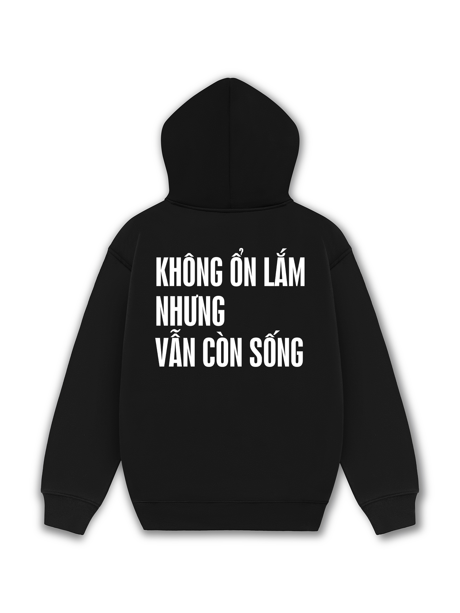 Áo Hoodie Nỉ Hai Da Không Ổn Lắm