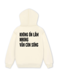 Áo Hoodie Nỉ Hai Da Không Ổn Lắm