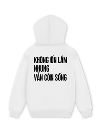 Áo Hoodie Nỉ Hai Da Không Ổn Lắm