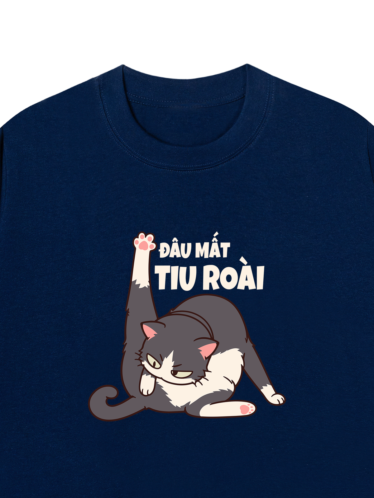 Áo Thun Relaxed Fit Đâu Mất Tiu Roài