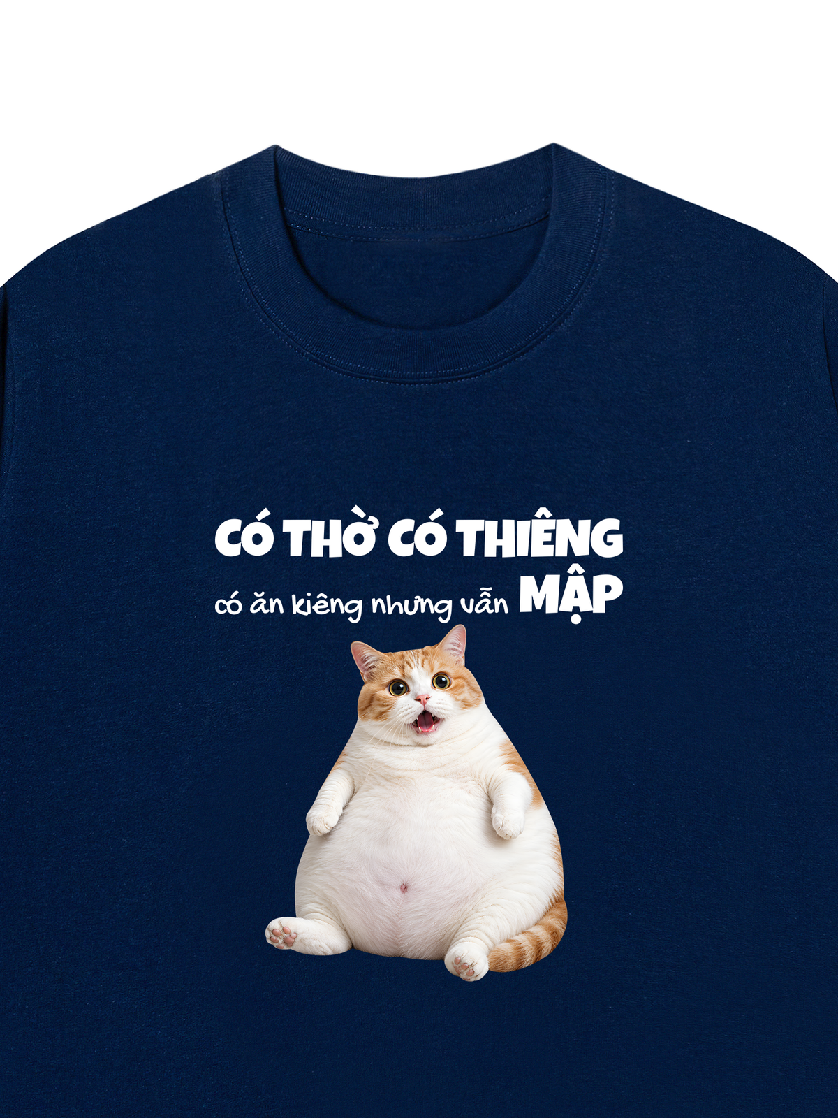 Áo Thun Relaxed Fit Có Ăn Kiêng Nhưng Vẫn Mập