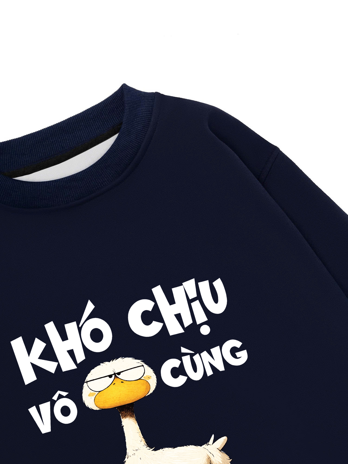 Áo Sweater Nỉ Hai Da Khó Chịu Vô Cùng